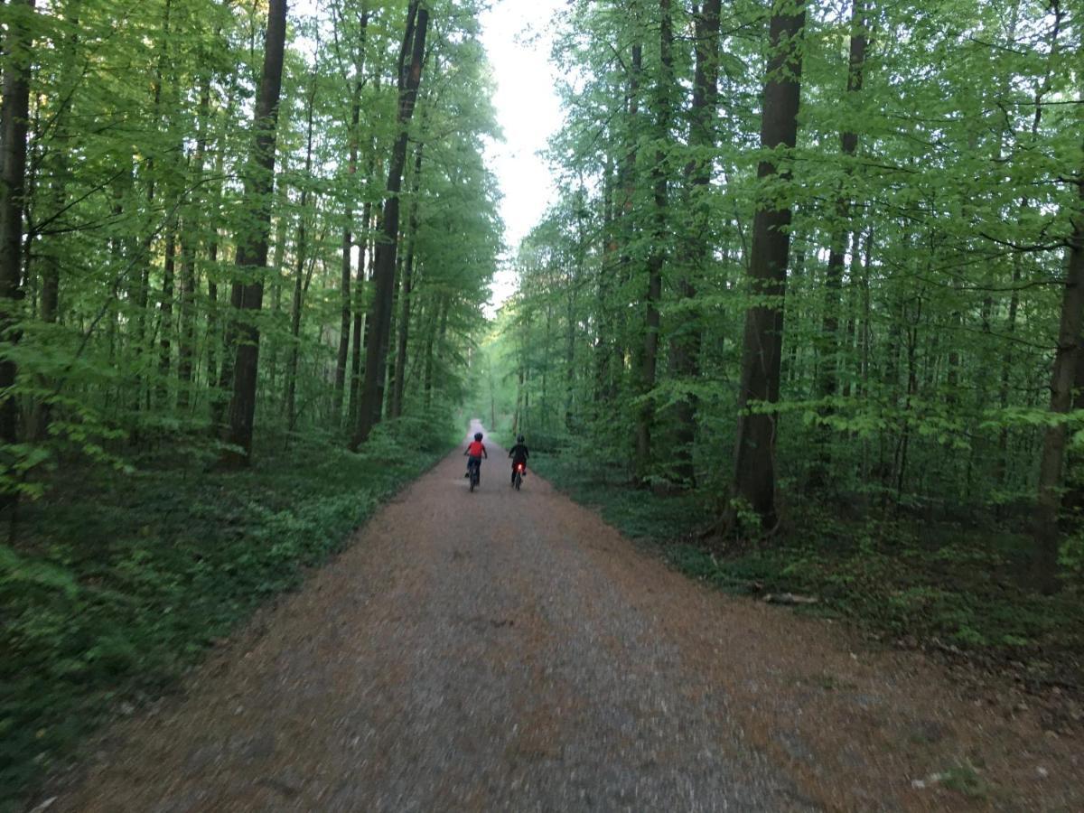 Klosterberghaus - Kontaktloser Check-In Elchingen Dış mekan fotoğraf